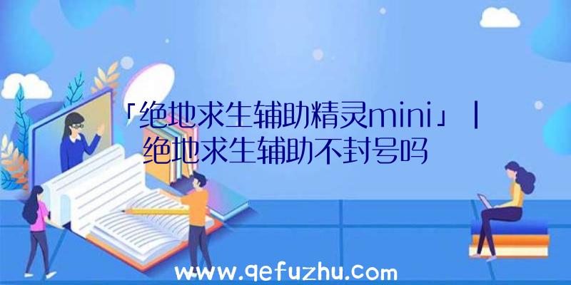 「绝地求生辅助精灵mini」|绝地求生辅助不封号吗